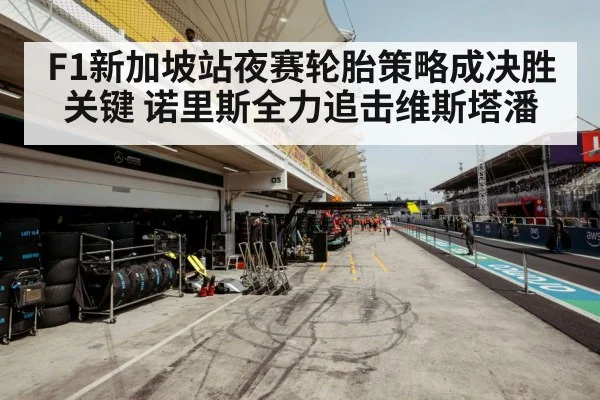 Formula 1 tire strategy